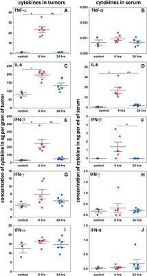 Targeted intracellular delivery of dimeric STINGa by two pHLIP peptides for treatment of solid tumors